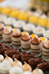 catering food, dessert and sweet, mini canapes, snacks and appetizers, food for the event, sweetmeat