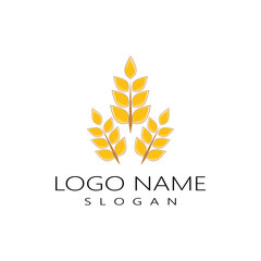 Agriculture wheat vector icon design