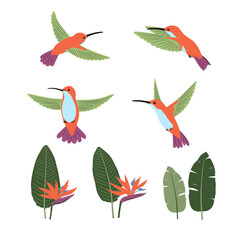 Set of cute cartoon hummingbirds and strelitzia . Vector collection of tropical birds and plants.