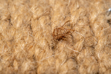 A background of roughly knitted fabric in soft focus under high magnification. Synthetic fabric stylized as an old, chunky-knit linen thread.