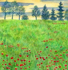 Summer landscape. Poppy field. Painting with watercolors and colored pencils. Cute illustration for the decor and design of posters, postcards, prints, stickers, invitations, textiles and stationery.