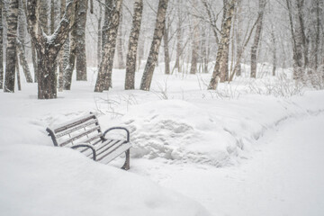 Snow-covered wooden bench in a winter park.