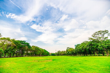 Green meadow grass in city public park sky witrh cloud