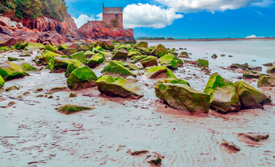 Fototapety na wymiar - Fototapeta24.pl