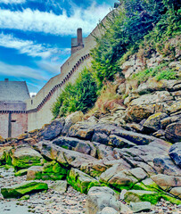 Fototapety na wymiar - Fototapeta24.pl