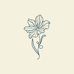 Wildflower Botanical logo outline drawing. Minimal floral vintage style. Doodle plant vector illustration. Pure nature organic brush. Line drawing. Botanical floral badge. Eco product emblem.