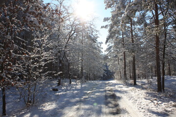 Spaziergang im Schnee
