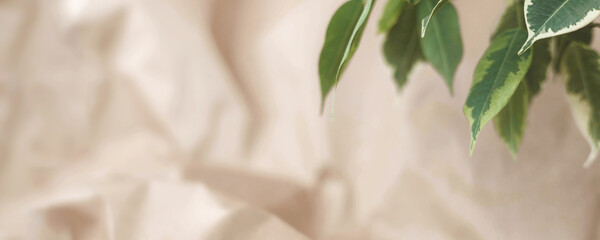 Brown crumpled recycle paper and green leaves. Paper texture background. Banner