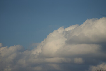Wolke