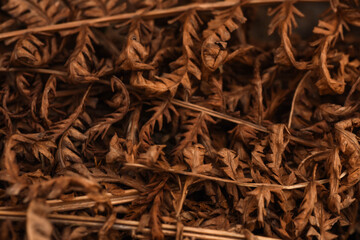 close up of background withered leaves