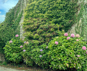 Fototapety na wymiar - Fototapeta24.pl