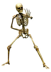 3D Rendering Human Skeleton on White