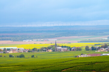 Landscape with green grand cru vineyards near Epernay, region Champagne, France in rainy day. Cultivation of white chardonnay wine grape on chalky soils of Cote des Blancs.