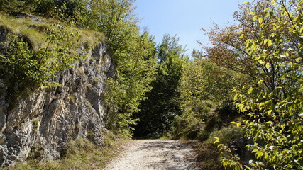 Fototapeta na wymiar Lungo il sentiero a Poggio San Romualdo nelle Marche