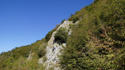 Lungo il sentiero a Poggio San Romualdo nelle Marche
