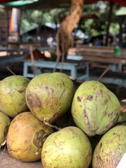Large green coconuts for sale in Mandalay, Myanmar