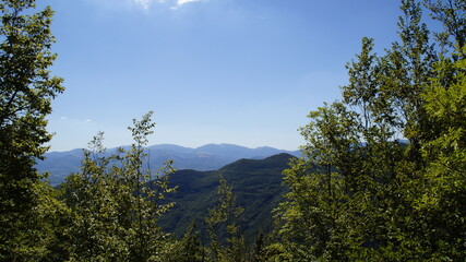 Lungo il sentiero a Poggio San Romualdo nelle Marche