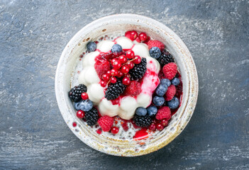 Modern style traditional blancmange almond pudding with wild berry coulis served as close-up in a Nordic design plate with copy space