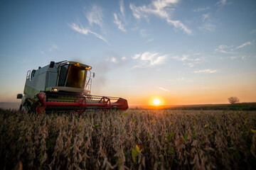 Harvesting of soybean