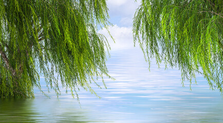 Willow trees over water 3d illustration © ArtDingo
