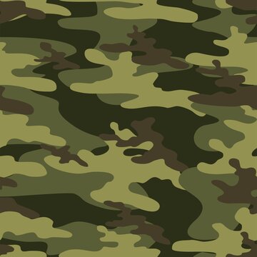 Green Army Camo Images – Browse 32,402 Stock Photos, Vectors, and Video |  Adobe Stock