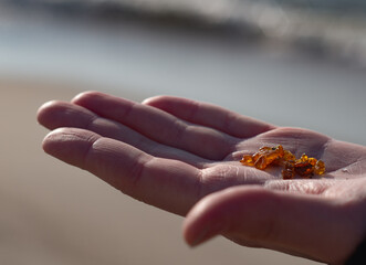 hand with small pieces of amber in sand background. © Roman