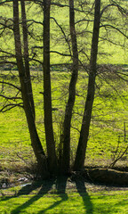 Obraz premium Landschaft