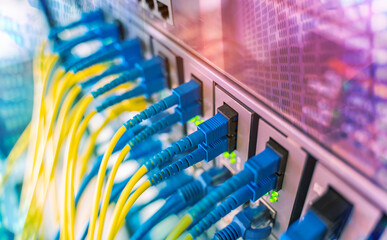 Fiber Optic cables connected to optic ports and UTP, Network cables connected to ethernet ports