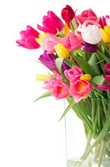 Many beautiful colorful tulips with leaves in a glass vase isolated on transparent background. Photo with fresh spring flowers for any festive design
