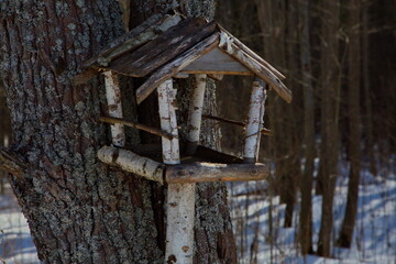 Bird feeders in the spring forest.