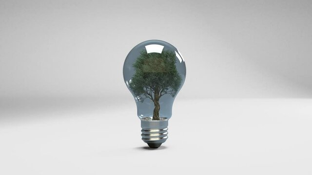 3D Animation Of A Timelapse Growing Tree Inside Traditional Light Bulb, White Background