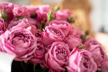 bouquet of pink roses
Beautiful bunch of pink roses on rose petals background