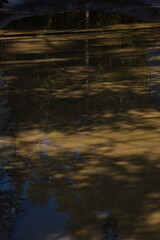 Country road in the spring thaw.