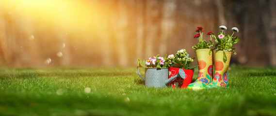 flower arrangements in the garden against the backdrop of summer, sunny garden © meegi
