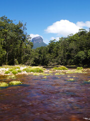 Venezuela Canaima Salto Angel