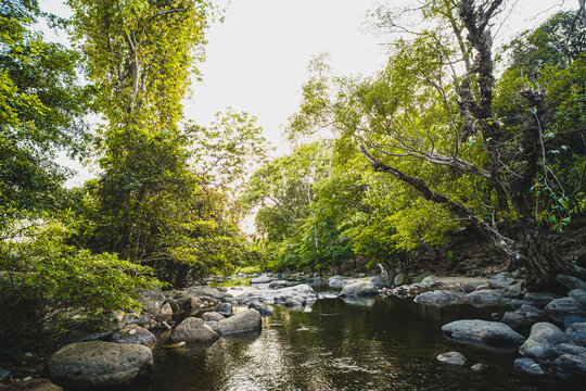 exotic  beautiful tropical deep rainforest waterfall  and lake panorama landscape of Wang Takrai waterfall in the national park Beautiful landscape waterfalls in Nakornnayok Thailand.