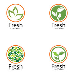 Leaf icon Vector Illustration design Logo template