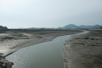 갯벌은 바다의 생명들이 사는 곳