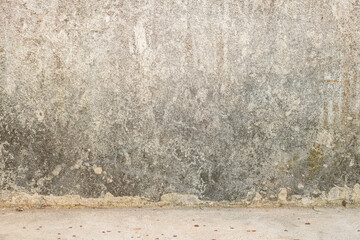 Closeup of texture mildewed walls