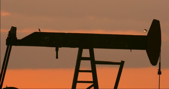 two birds teeter totter on an oil well pumping at sunset