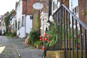 Fototapete bei efototapeten.de bestellen   