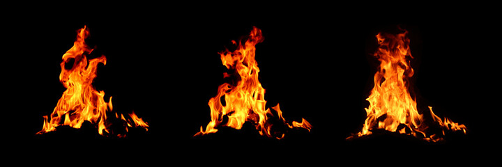 Set of bonfire on black background according to many natural designs For background