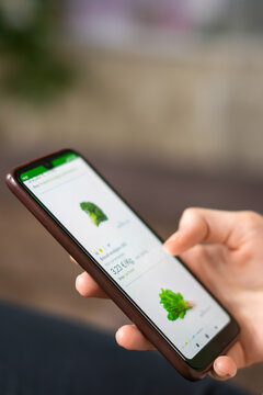 Woman orders fresh greens through a close-up mobile phone app. Online shopping concept. Vertical photo