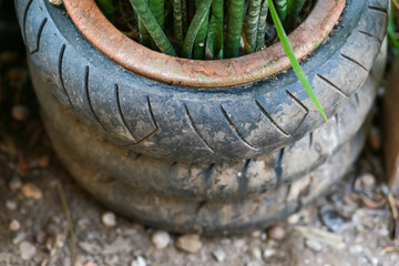 Close-up, old motorcycle racing tires, designed to be used as a home plant pot. recycle to have the benefits of reducing waste, reducing global warming