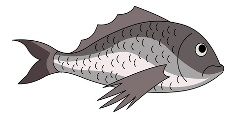 Dorado fish illustration vector isolated