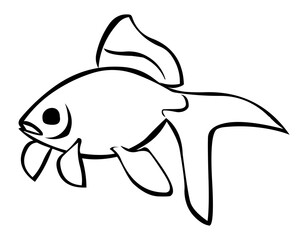 Fish handdrawn illustration