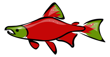 Red Salmon fish cartoon illustration