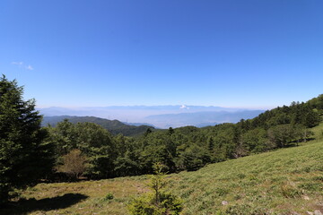 Fototapeta premium 山梨県の大菩薩嶺の登山