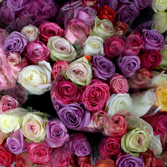 bouquet of lavender, light and dark pink, and ivory-white roses