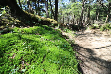 山梨県の大菩薩嶺の登山